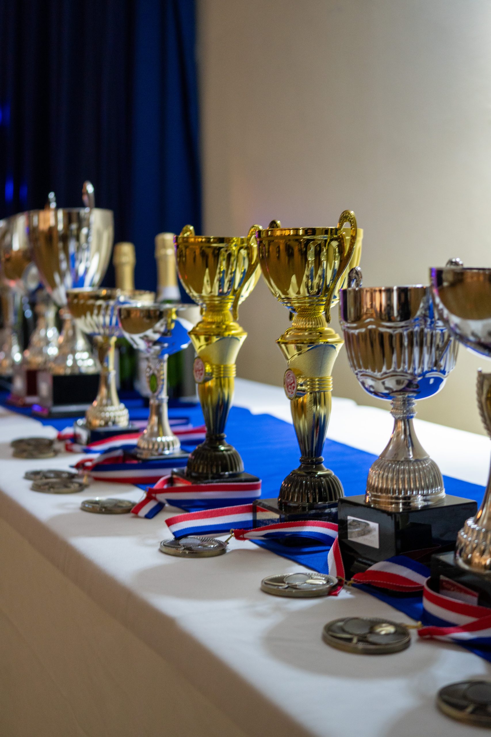 Featured image for “Presentation Night”